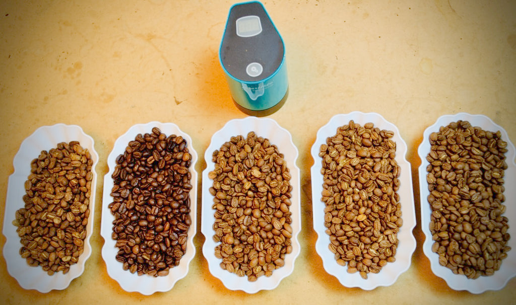 The Coffee Entrepreneur's Journey: From Local Markets to Digital Connections