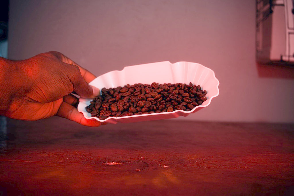 From Coffee Explorer to Roaster: A Journey in Finding the Good Coffee