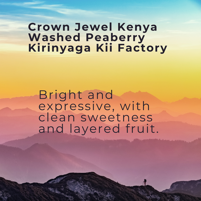Youtube Mentioned Coffee (Limited Amount)- Kenya Washed Peaberry (Kirinyaga – Kii Factory)