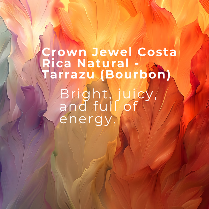 Youtube Mentioned Coffee (Limited Amount)- Costa Rica Natural - Tarrazu (Bourbon) Bryan Rivera Ureña León Cortés Canton