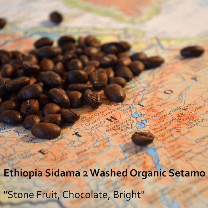 Freshly roasted Organic Ethiopian coffee beans in Missouri City, Texas that has flavor notes of stone fruit, chocolate, bright.